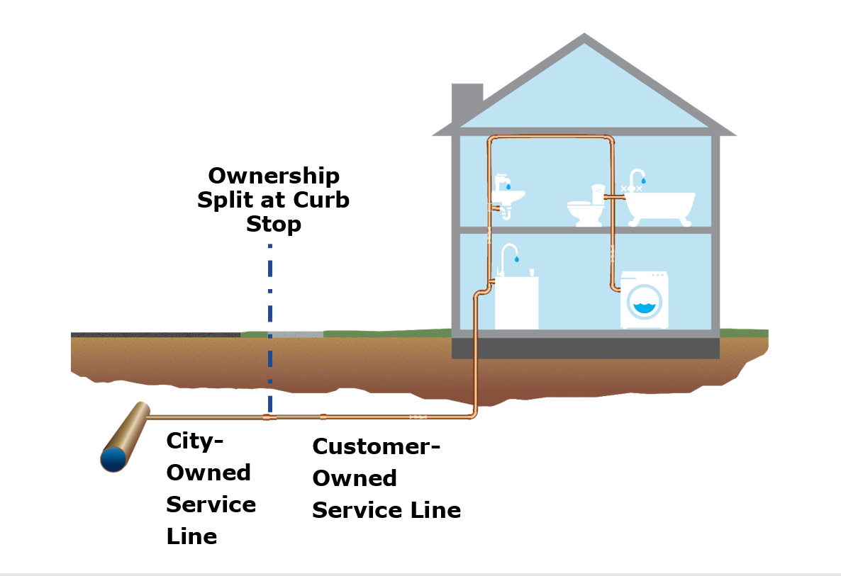 Service Line Graphic