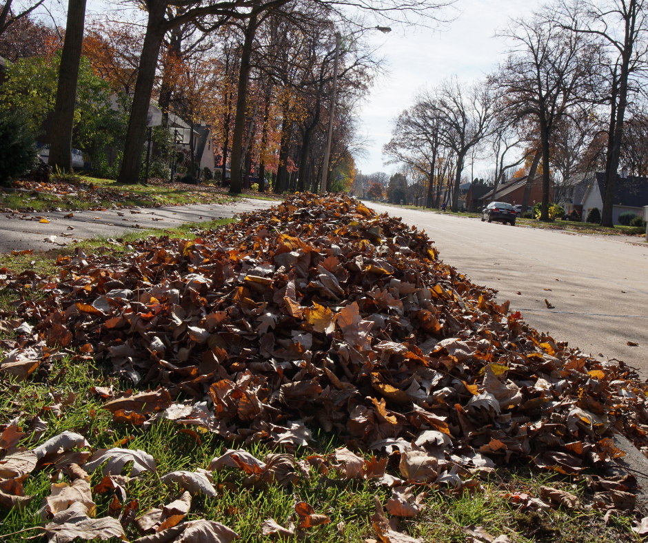 Leaf Pile